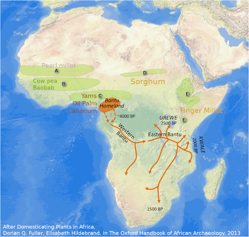 Les principaux centres d'origine des cultures en Afrique (A-E) et la dispersion des Bantous du Nigeria-Cameroun vers l'Afrique australe. Cette dispersion vers l'Afrique de l'Est est associée archéologiquement aux poteries Urewe et Kwale du premier âge du fer, respectivement dans la région intérieure et la région côtière.